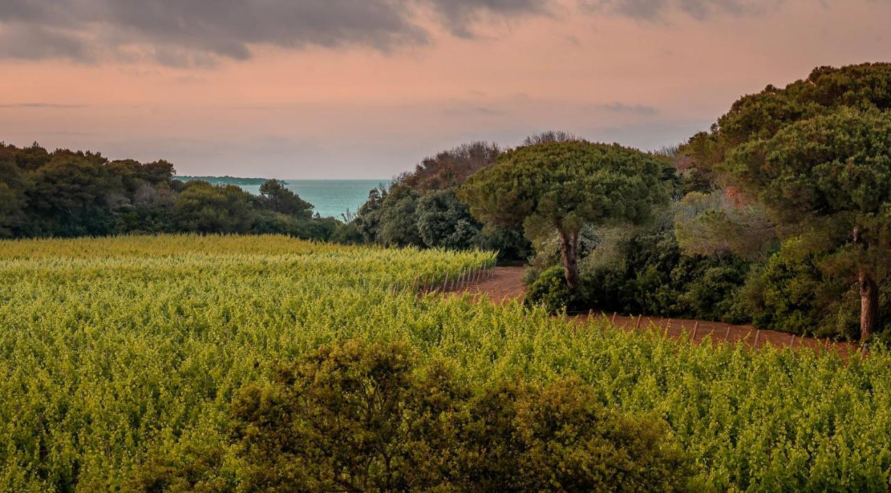 Masseria Mongiò dell'Elefante Otranto Exterior foto
