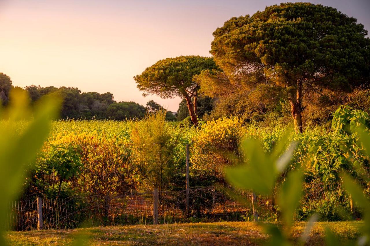 Masseria Mongiò dell'Elefante Otranto Exterior foto